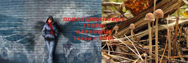твердый Навашино