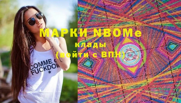 прущие грибы Вязники