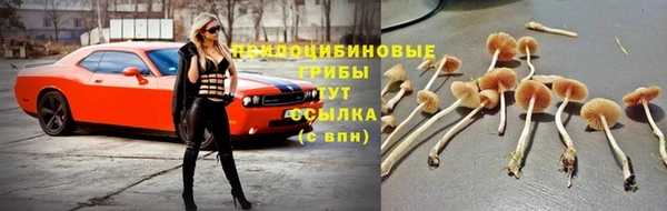 твердый Навашино